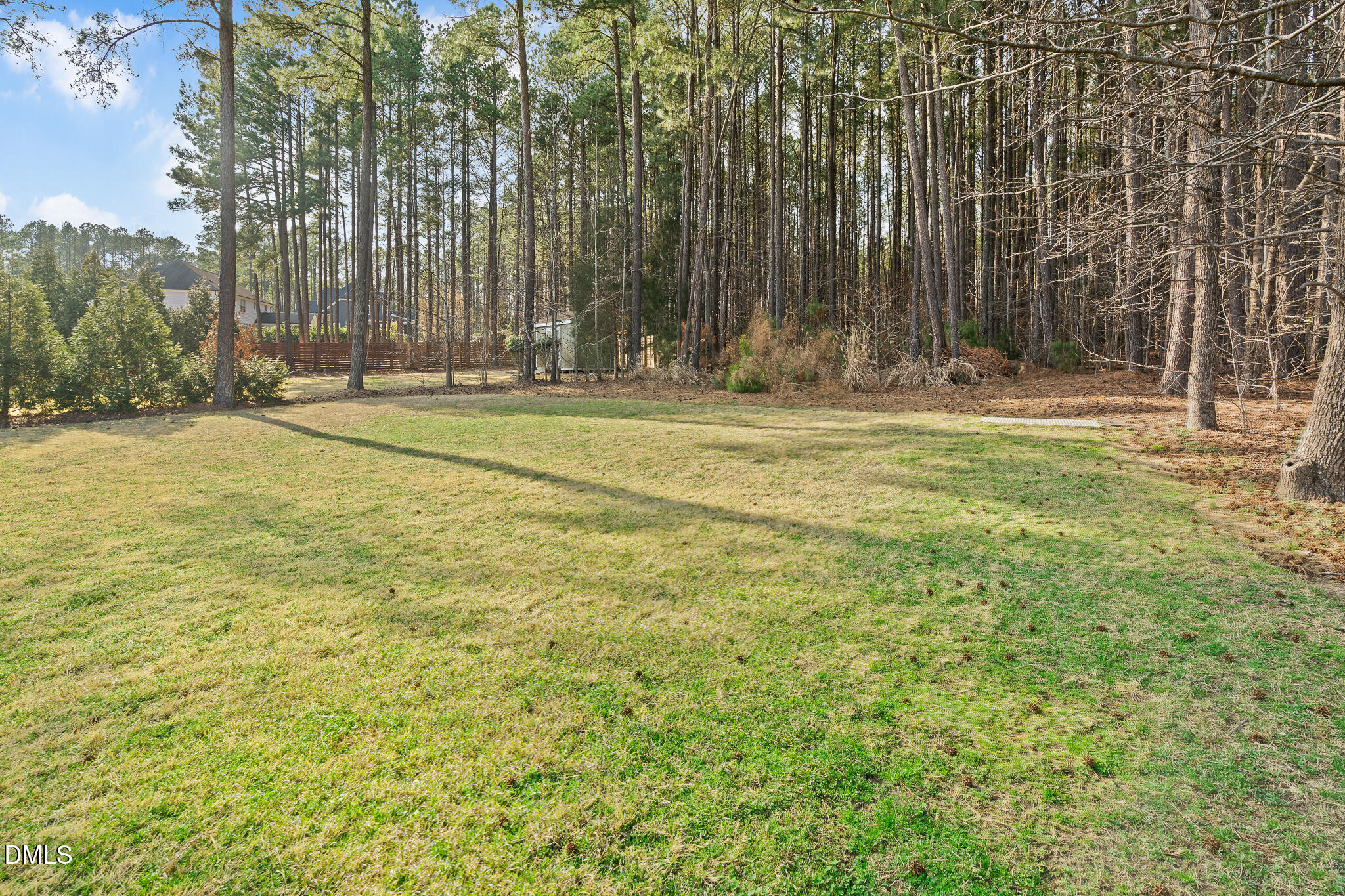 3608 Griffice Mill Road Raleigh, NC 27610 - Photo 49 of 64 Back Yard