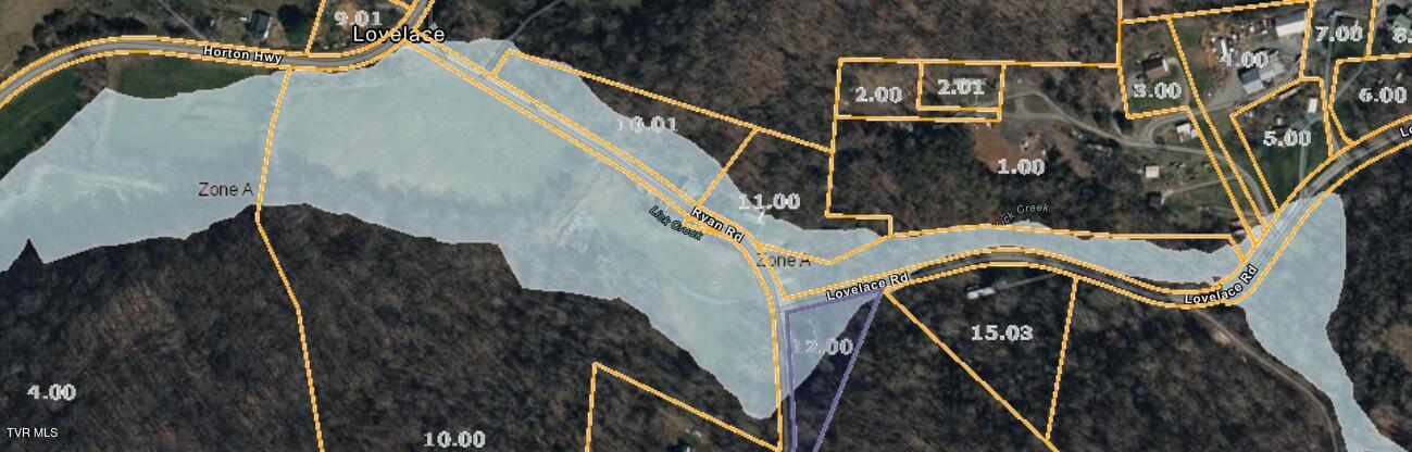 1340 Ryan Road Fall Branch, TN 37656 - Photo 20 of 22 Flood Zone Map
