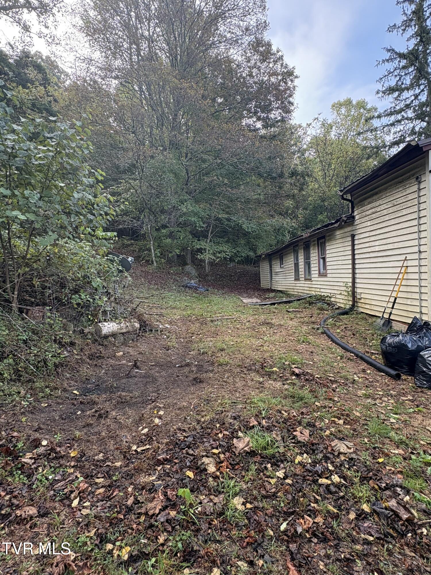 1340 Ryan Road Fall Branch, TN 37656 - Photo 7 of 22 IMG_0714