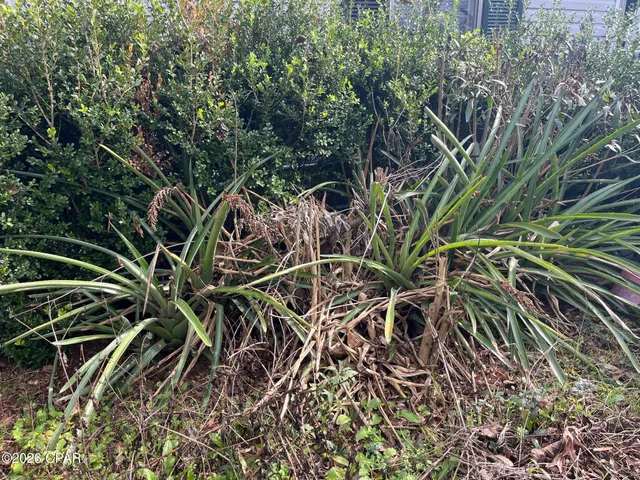 $149,000 | 4854 Highway 231, Campbellton, FL 32426