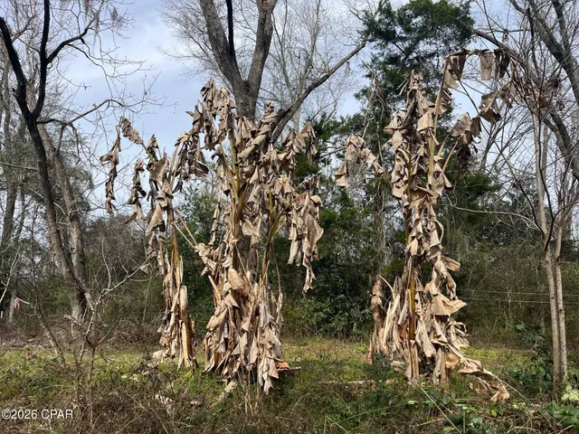 $149,000 | 4854 Highway 231, Campbellton, FL 32426