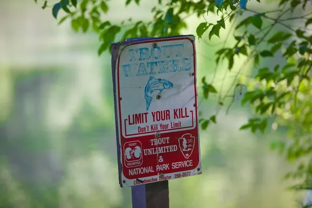 $3,595,000 | 510 Covington Cove, Johns Creek, GA 30022