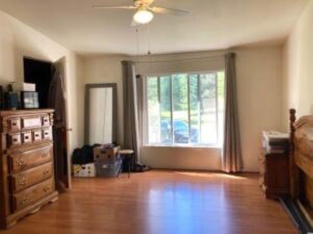 3641 Hill Loop Road Kettle Falls, WA 99141 - Photo 18 of 50