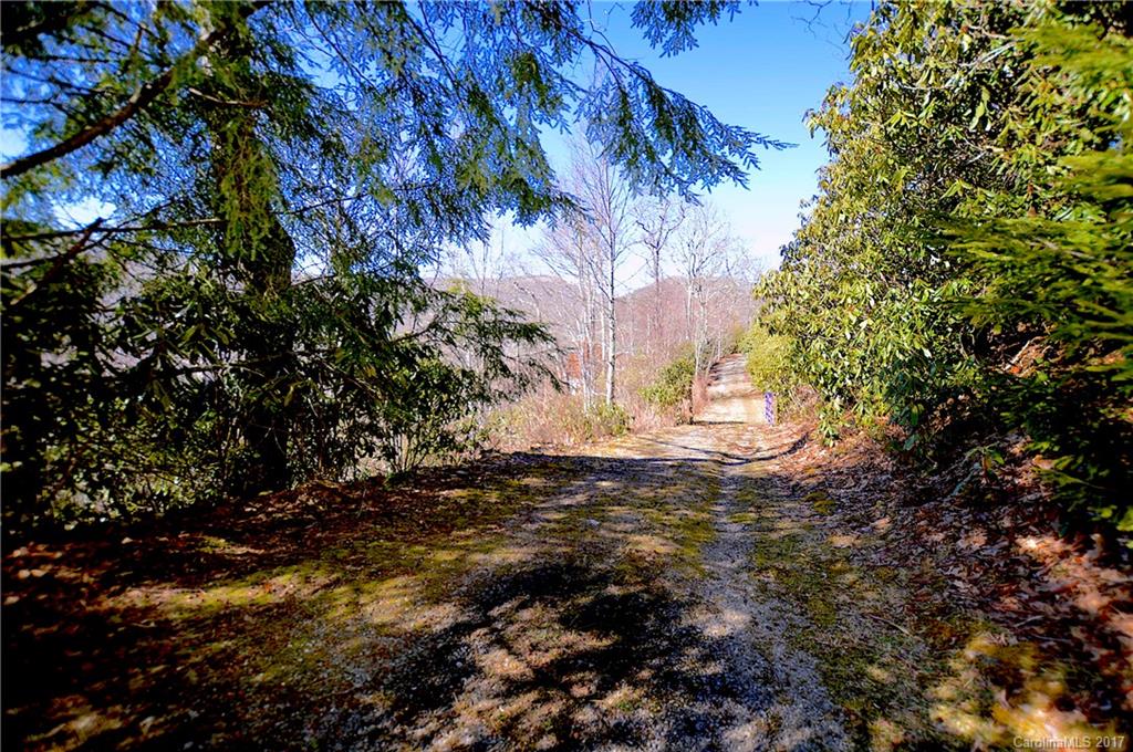 1325 Scenic View Road Maggie Valley, NC 28751 - Photo 24 of 24 Gallery Image 24