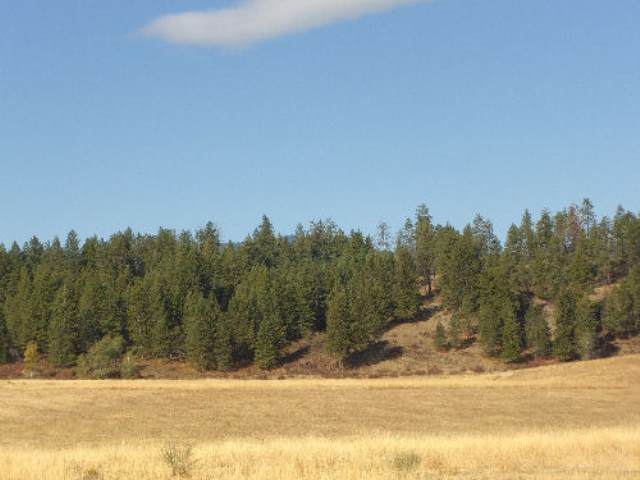 822 D Barzee Road Colville, WA 99114 - Photo 1 of 5
