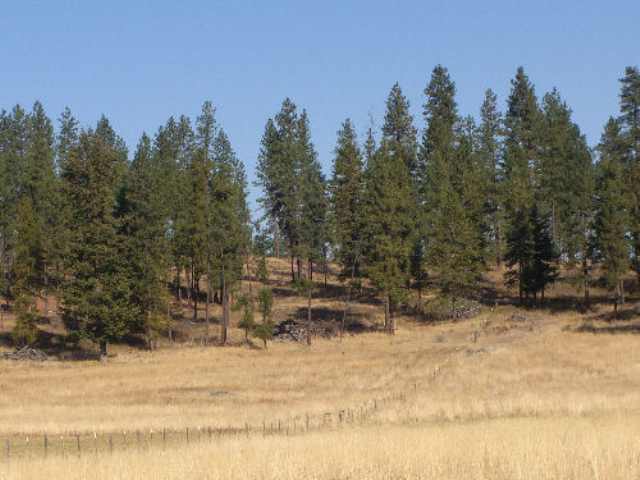 822 D Barzee Road Colville, WA 99114 - Photo 2 of 5