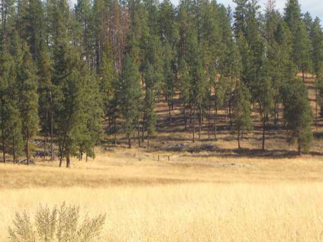 822 D Barzee Road Colville, WA 99114 - Photo 3 of 5