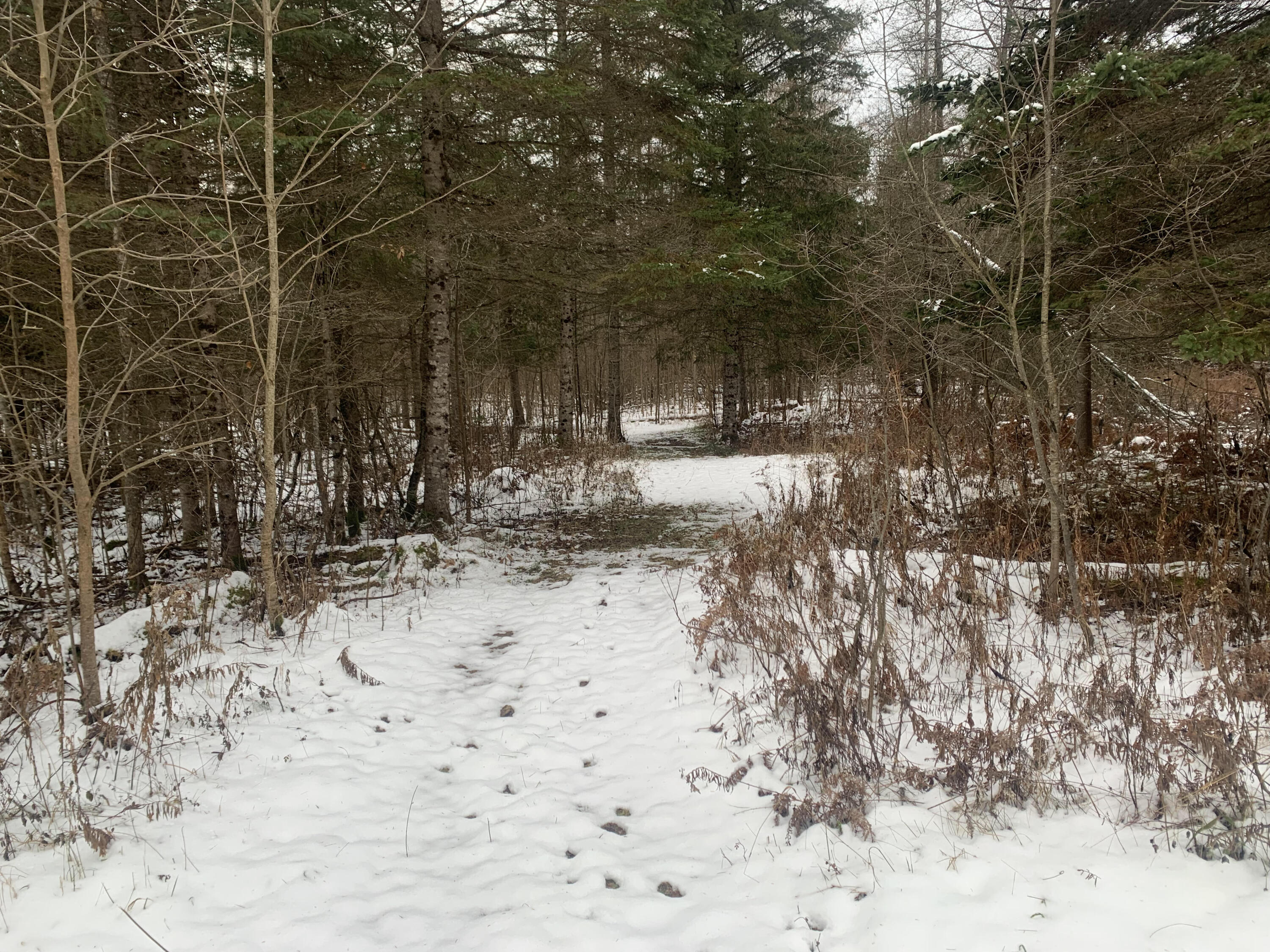 4194 Gorman Road St. Ignace, MI 49781 - Photo 44 of 58 Gallery Image 44