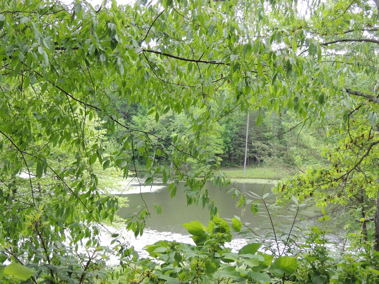 1428 Cassidy Road London, KY 40744 - Photo 11 of 29 Photo 11