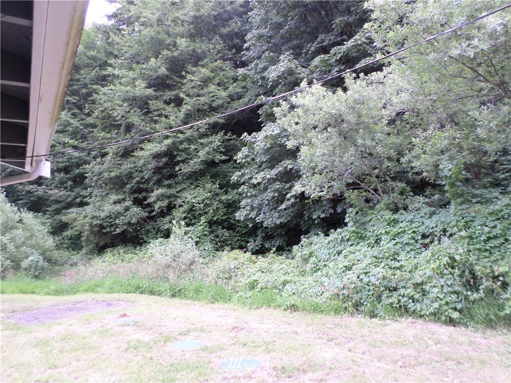 34 Halfmoon Creek Road Lebam, WA 98577 - Photo 17 of 19 Gallery Image 17