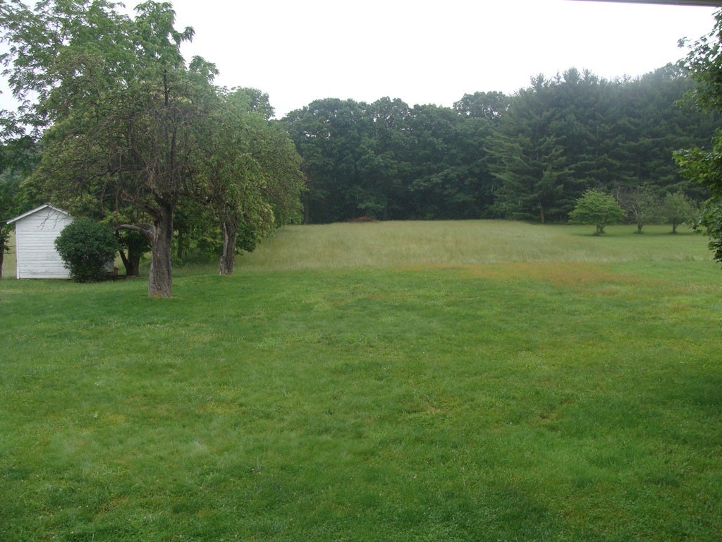 7005 Beech Run Road Nimitz, WV 25978 - Photo 3 of 72 Gallery Image 3