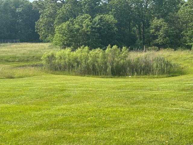 540 South Angola Road Coldwater, MI 49036 - Photo 4 of 4 IMG_0516