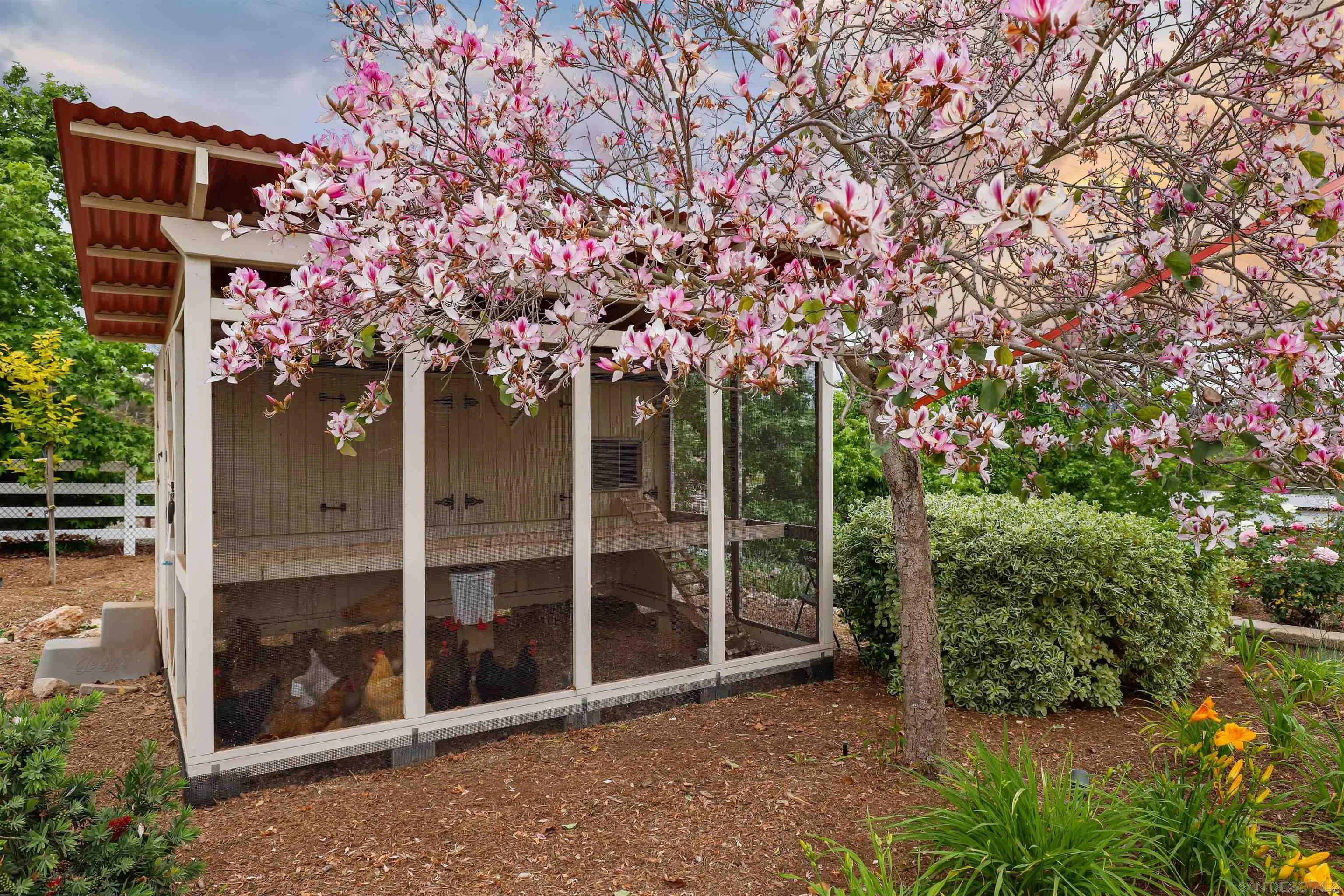 3055 Brookside Lane Encinitas, CA 92024 - Photo 55 of 64 a house with a tree in front of it