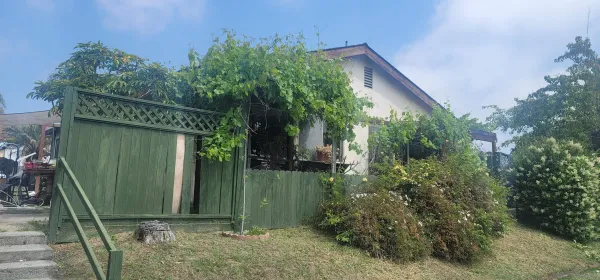 a backyard of a house with lots of green space