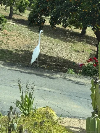 $1,999,000 | 3993 Peony Drive, Fallbrook, CA 92028