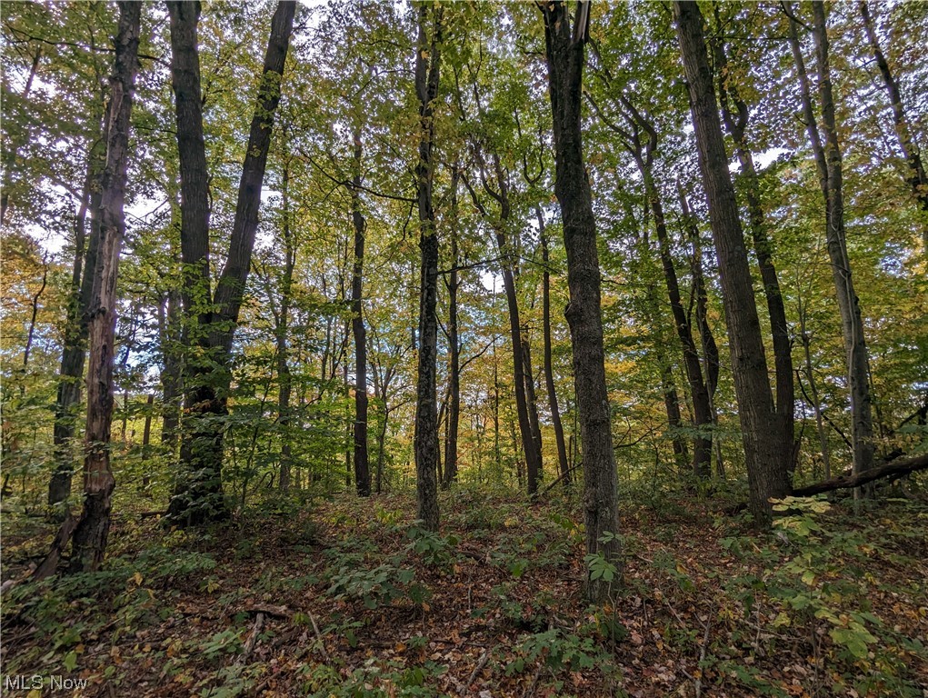 Crabapple Road Alledonia, OH 43902 - Photo 12 of 21
