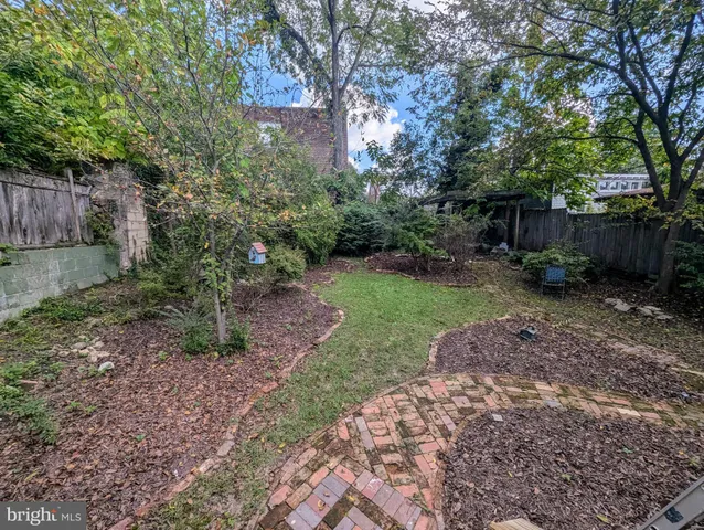 a view of a backyard with potted plants and large trees