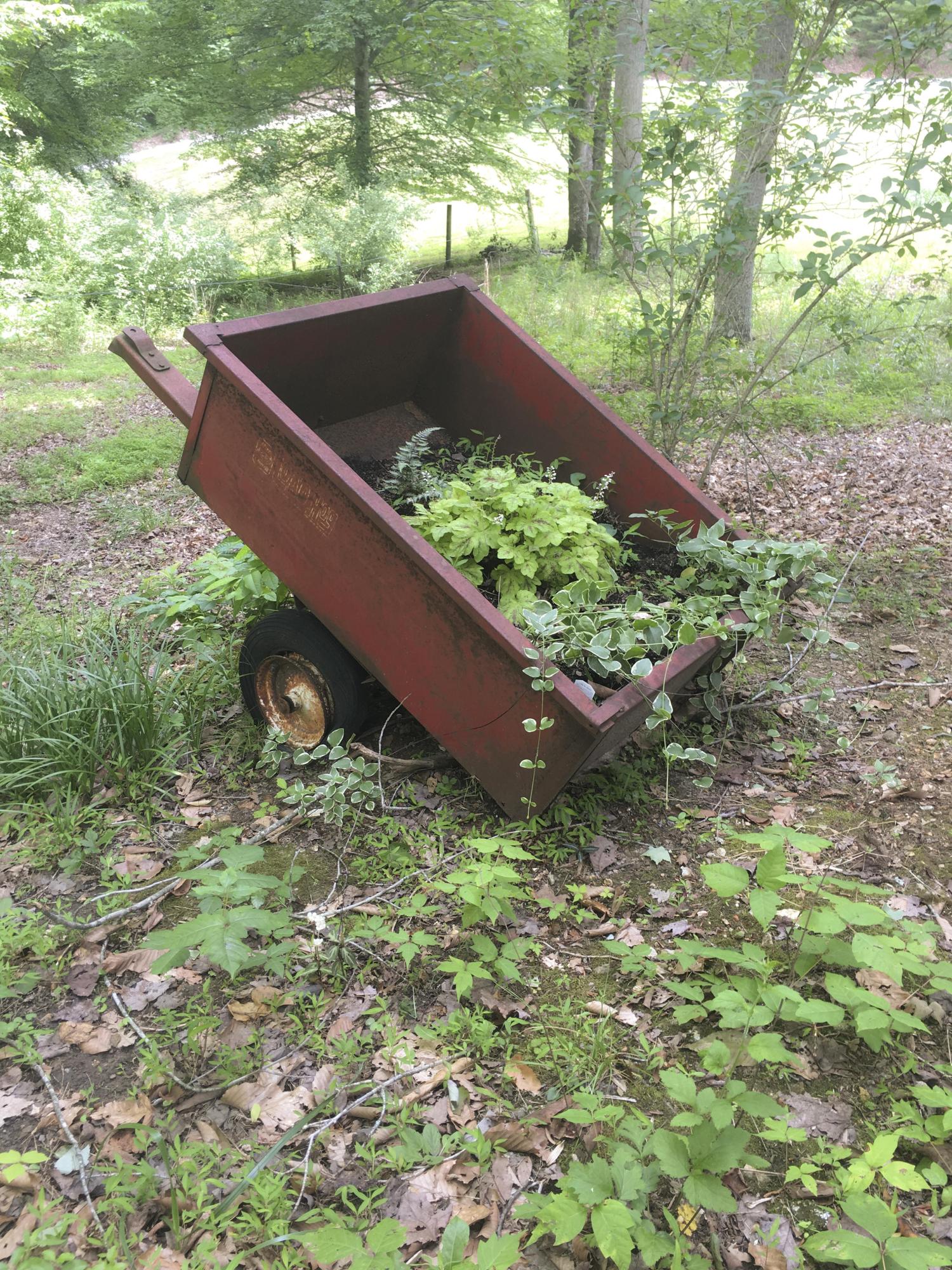 1004 Hillvale Road Andersonville, TN 37705 - Photo 14 of 23 Garden