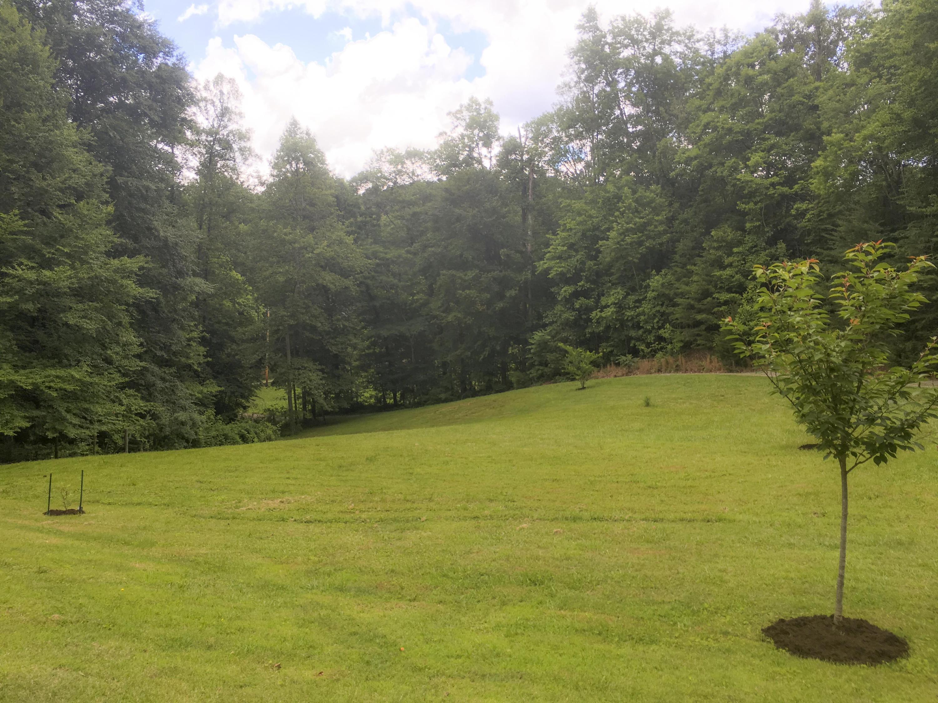 1004 Hillvale Road Andersonville, TN 37705 - Photo 19 of 23 Land