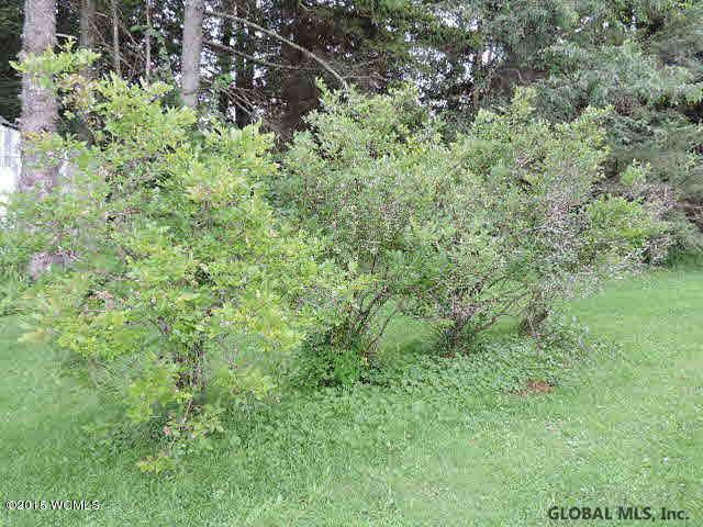 2729 Center Road Moriah, NY 12960 - Photo 25 of 29 Photo 25