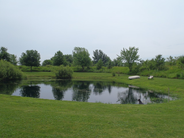 1048 German Road Paw Paw, IL 61353 - Photo 3 of 23