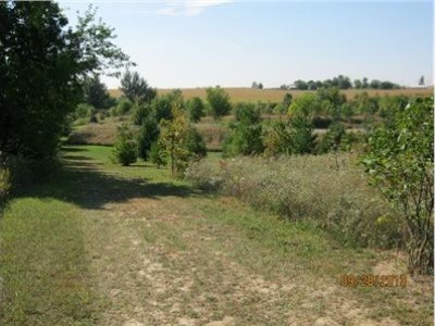 1048 German Road Paw Paw, IL 61353 - Photo 4 of 23