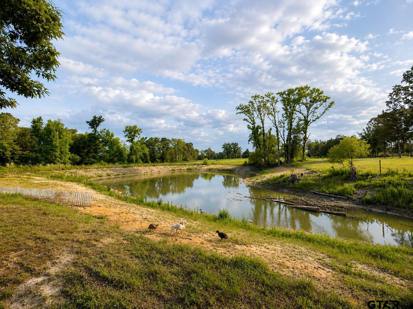 10861-county Rd 10861-county Road Tyler, TX 75704 - Photo 45 of 48 Gallery Image 45