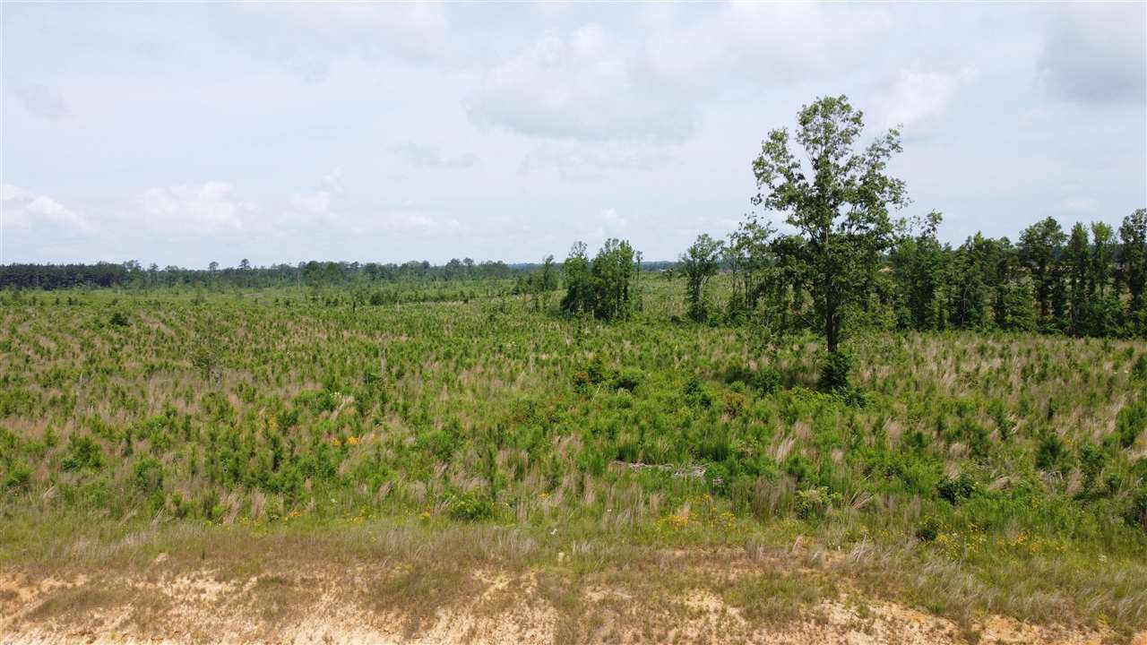 361 Stump Ridge Road, Unit 1 Brandon, MS 39047 - Photo 1 of 18 Photo 1