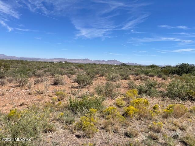 39-acres South Foothills Road, Unit 9 San Simon, AZ 85632 - Photo 7 of 12