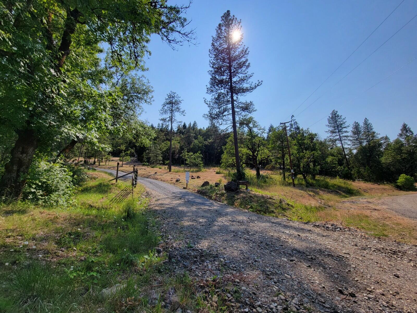 1021 Greenview Road Cave Junction, OR 97523 - Photo 23 of 27 2- afternoon view of property from road