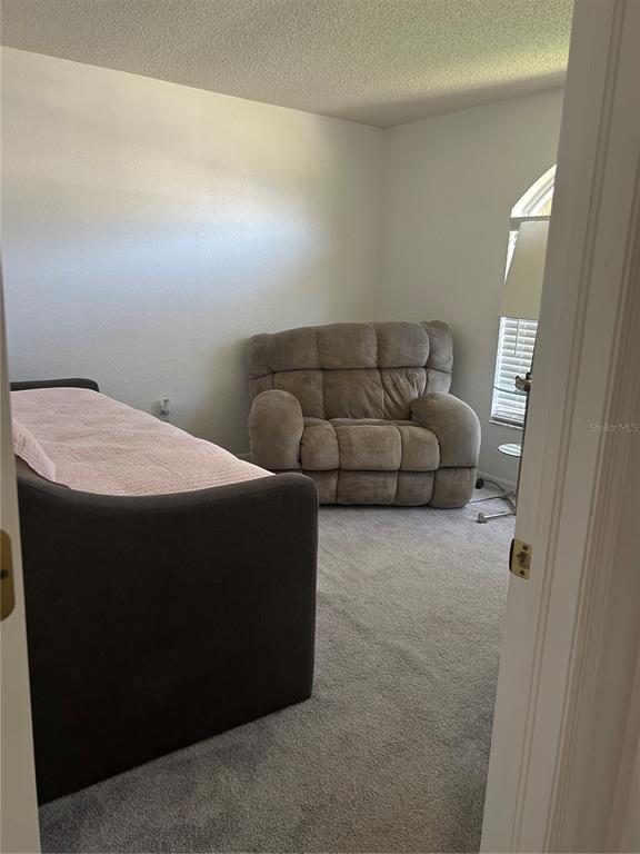9376 Southern Belle Drive Weeki Wachee, FL 34613 - Photo 12 of 12 a living room with furniture and a couch