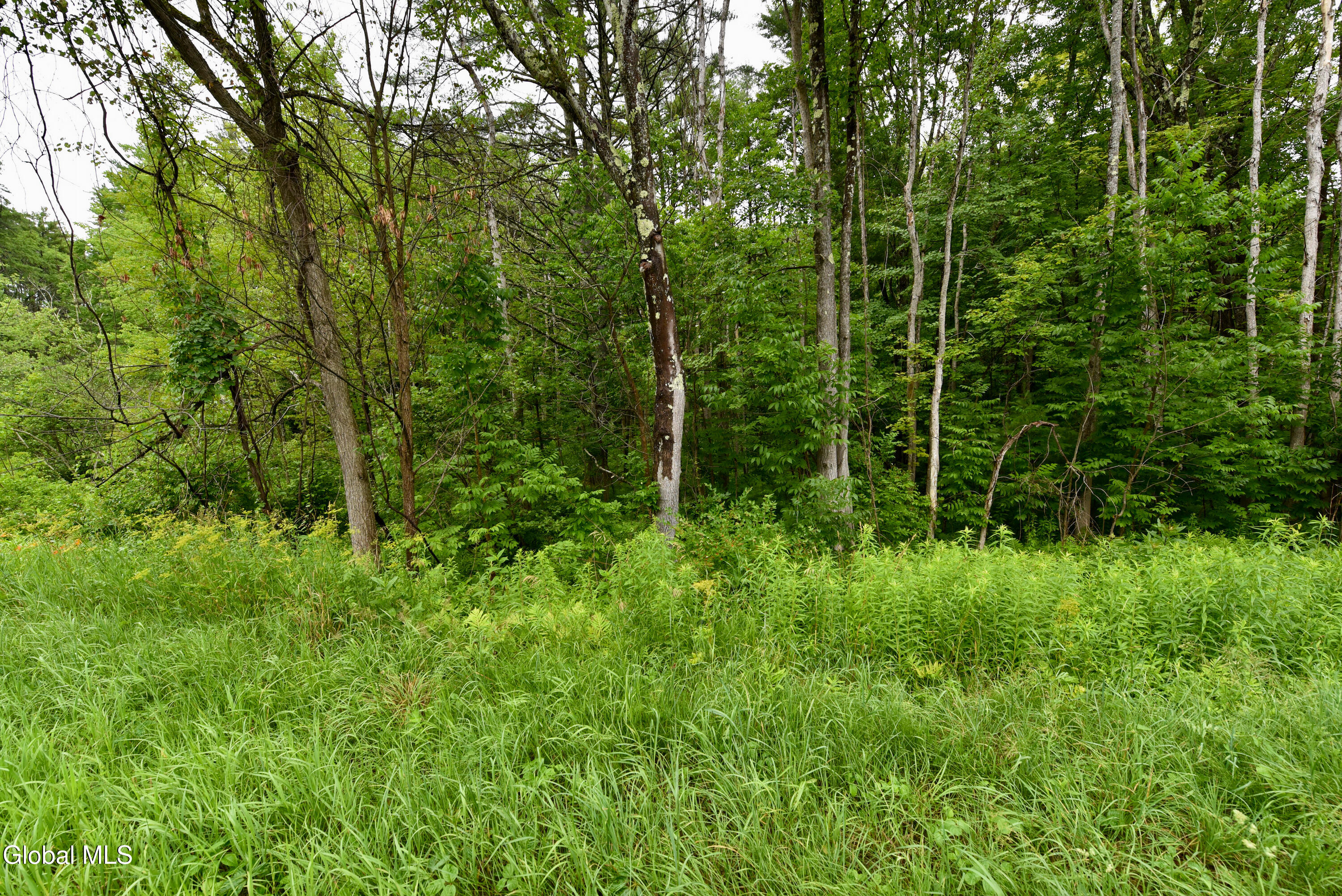 3241 Nys Rt 9n Greenfield Center Greenfield Center, NY 12833 - Photo 2 of 18 2