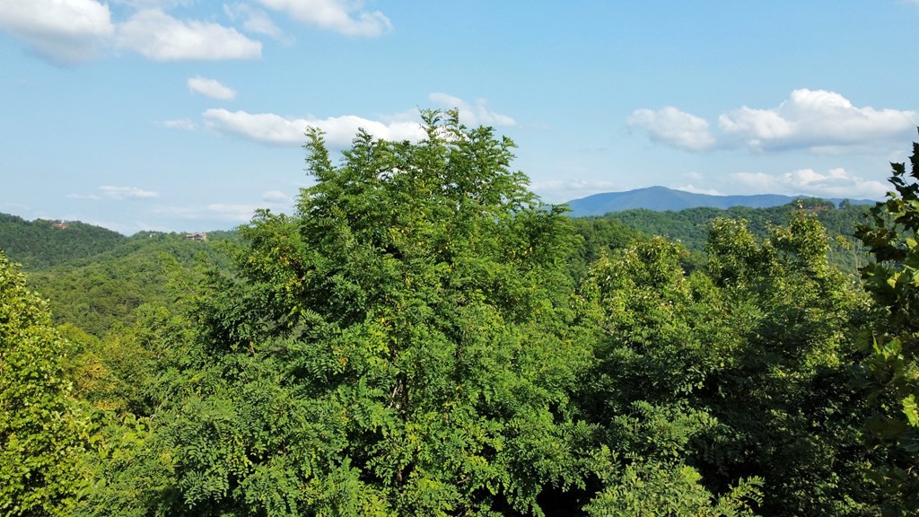 4060 Ridgeback Lane Sevierville, TN 37862 - Photo 17 of 24
