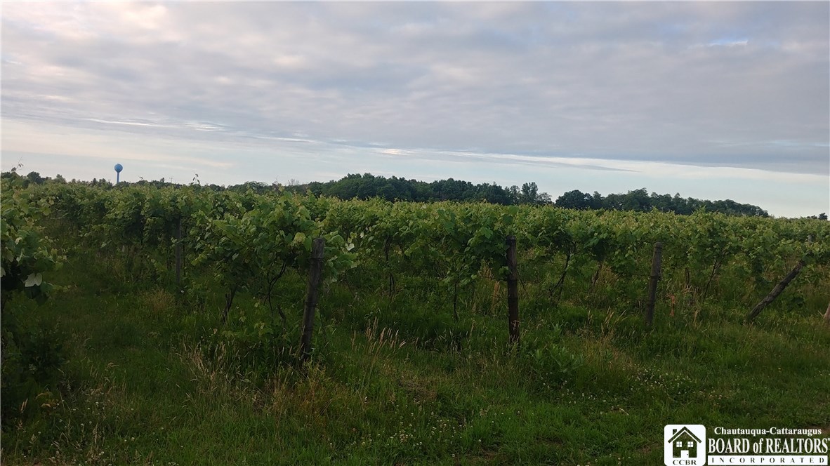 0 Swede & Martin Road Fredonia, NY 14063 - Photo 1 of 1 Gallery Image 1