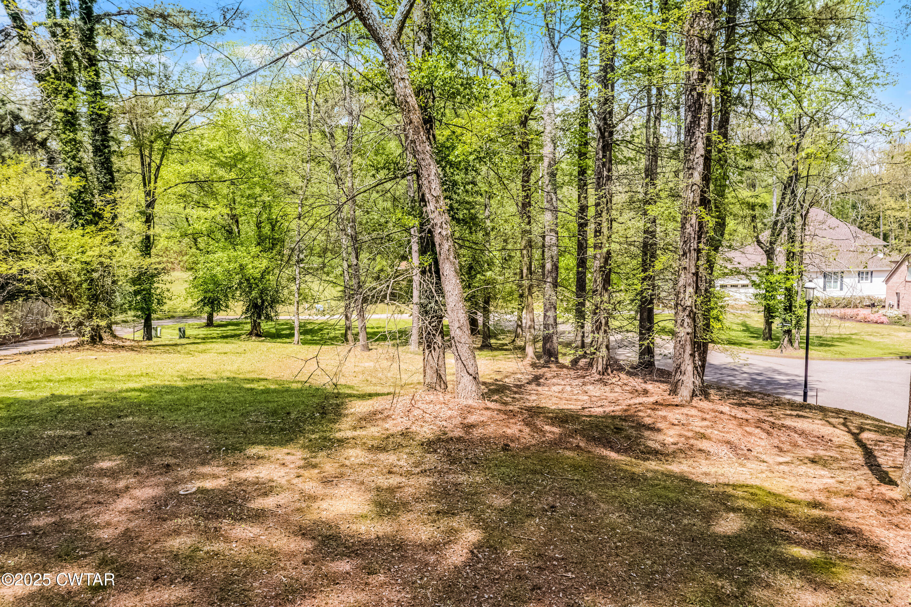 11 Frankland Avenue Jackson, TN 38301 - Photo 11 of 14 a view of a yard with trees