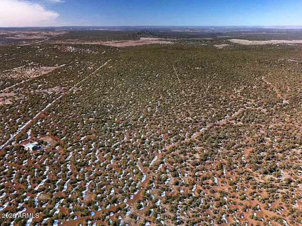 a view of a yard with trees