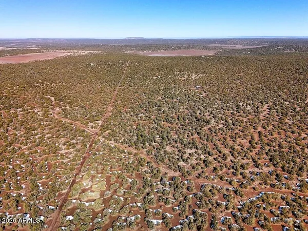 a view of city and mountain