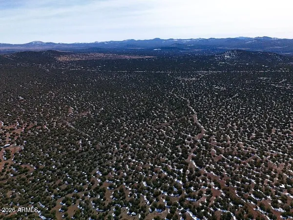 a view of a mountain