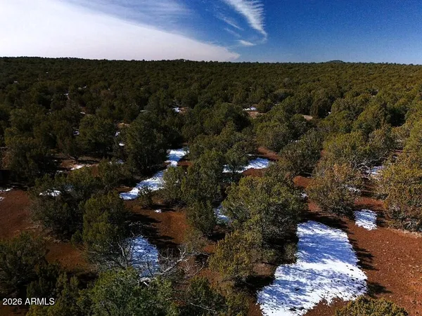 an aerial view of residential houses with city view