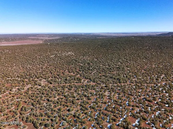 a view of a road with a snow on the road