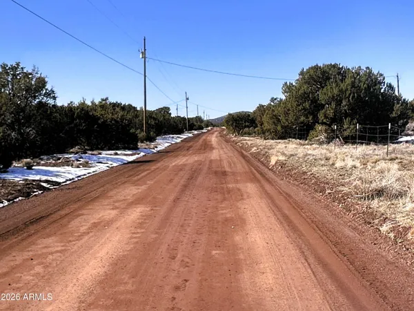 a view of a bunch of trees and mountains