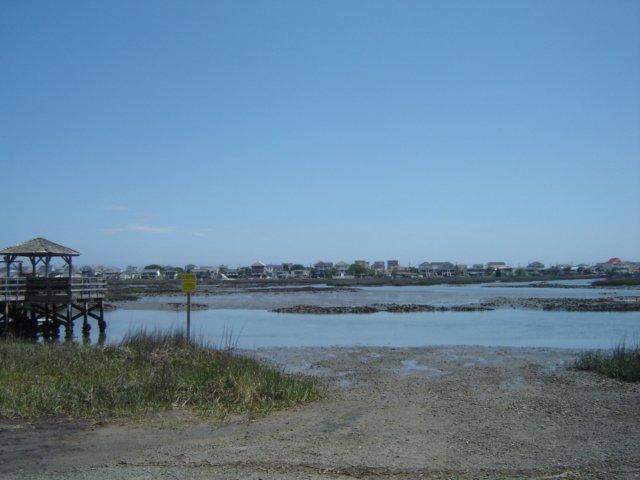 524 Waverly Loop Murrells Inlet, SC 29576 - Photo 11 of 14