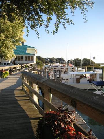 524 Waverly Loop Murrells Inlet, SC 29576 - Photo 13 of 14