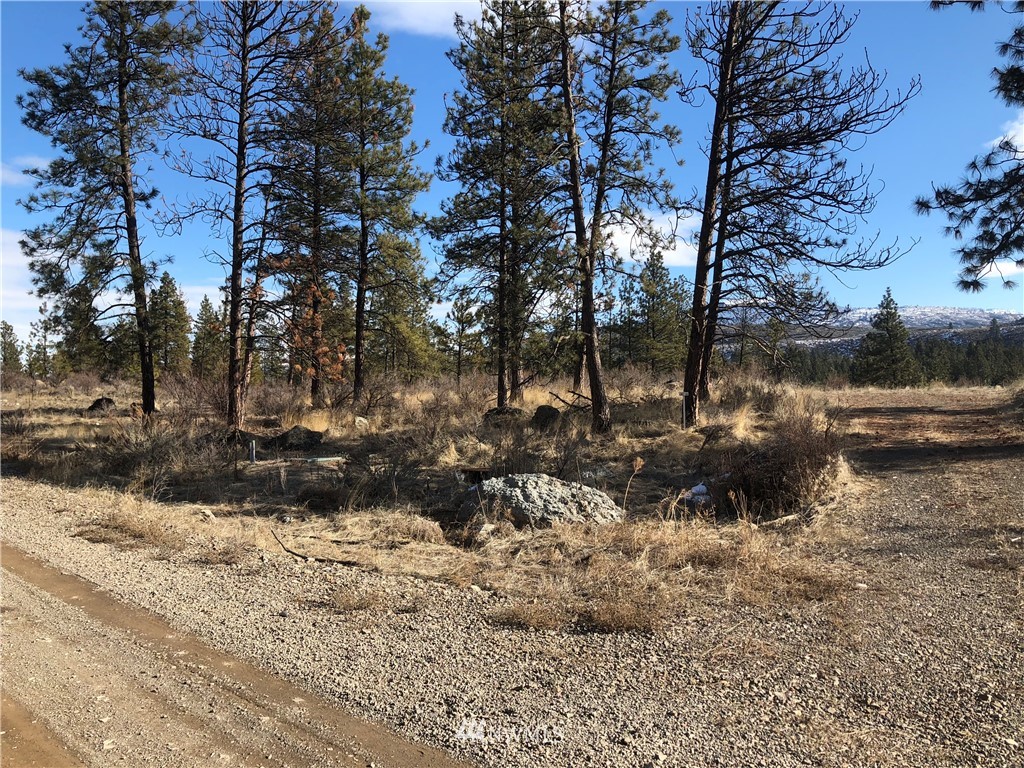 10 Mist Lake Road Tonasket, WA 98855 - Photo 1 of 1 Gallery Image 1