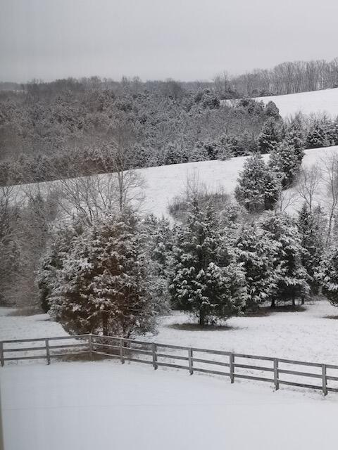 675 Kendall Road Dry Ridge, KY 41035 - Photo 32 of 36