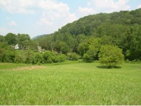 0 Federal Road Mendota, VA 24270 - Photo 1 of 10 Photo 1