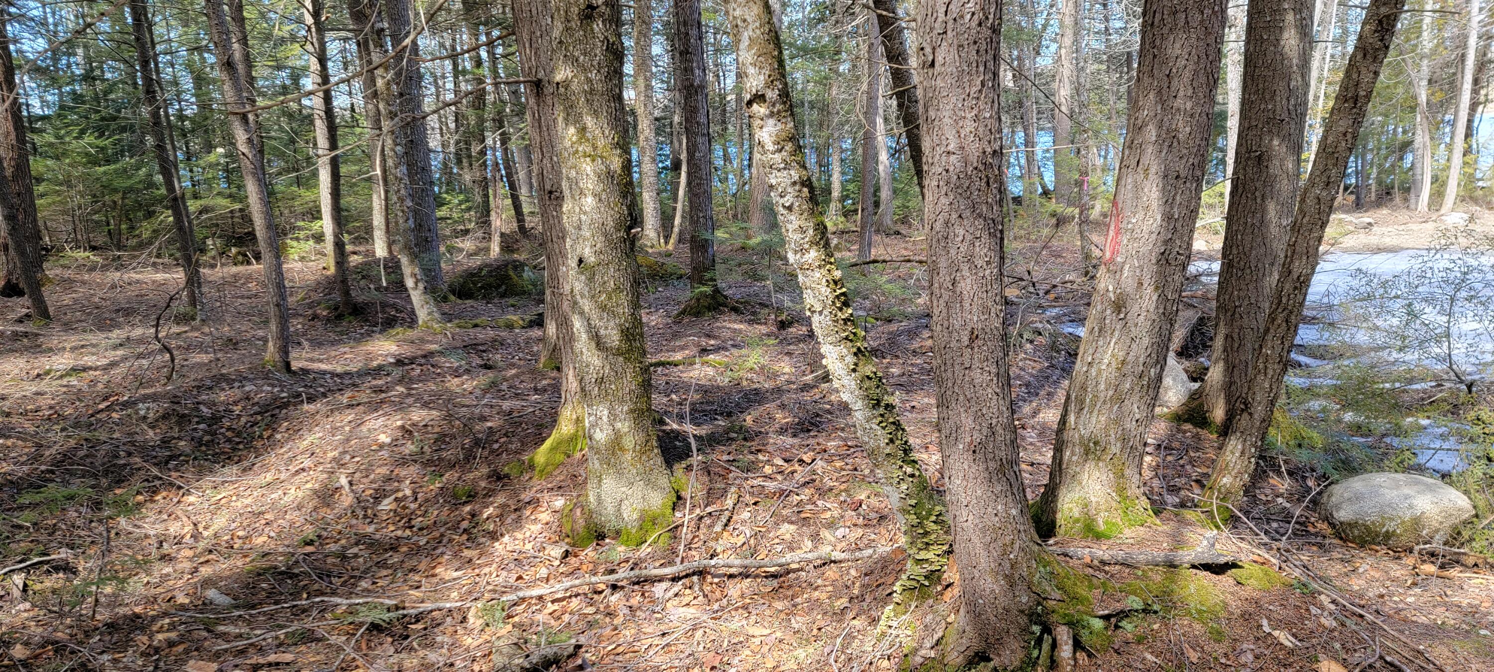 29-30 Sugar House Road Lincoln, ME 04457 - Photo 13 of 15 20220411_113154