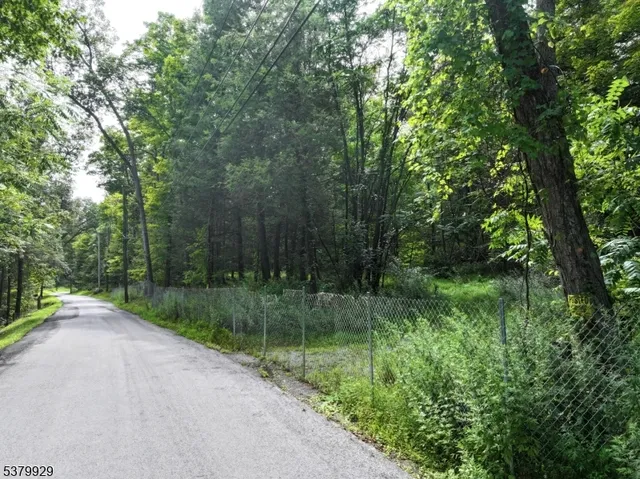 a small garden in the back yard