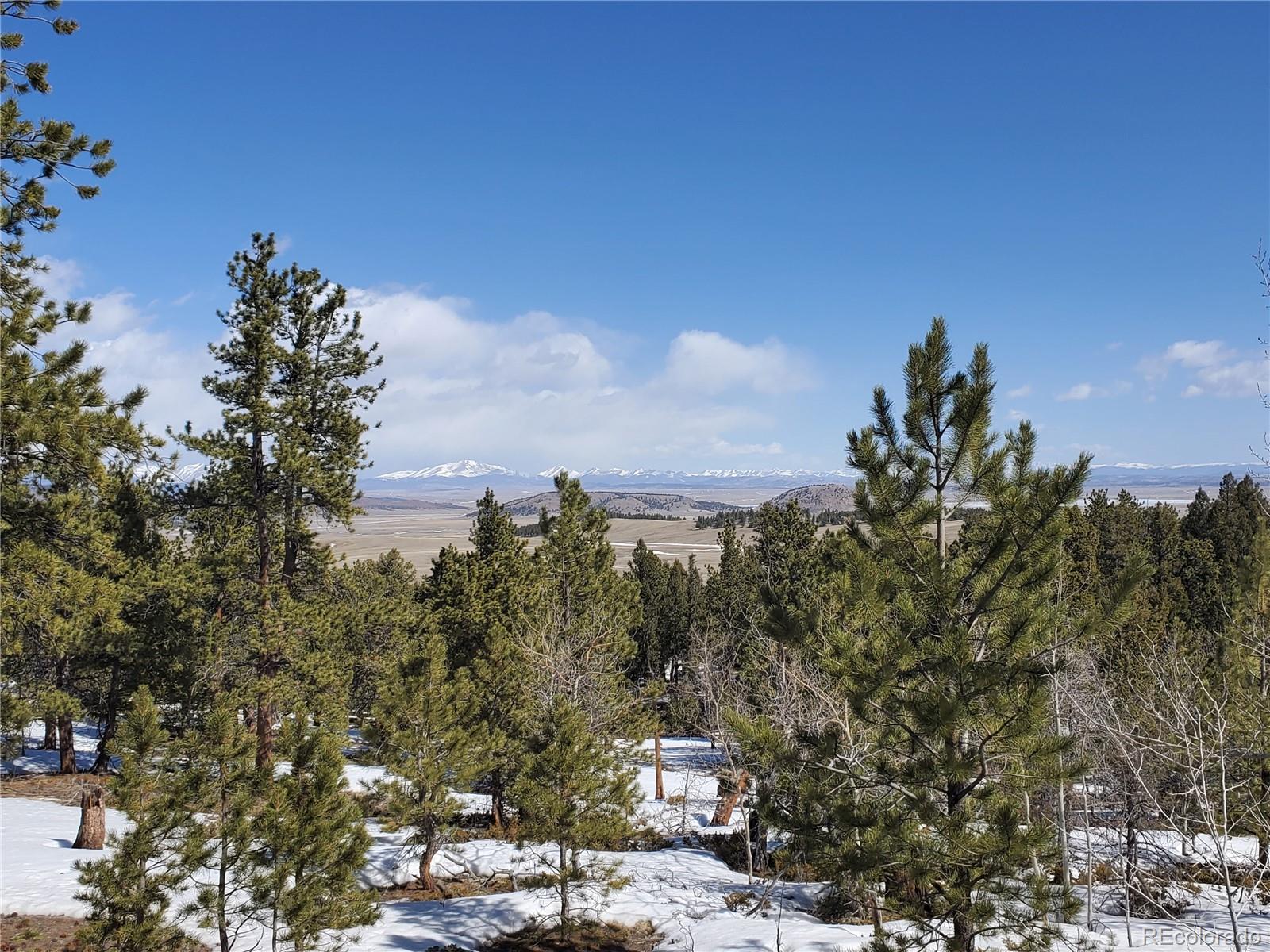 2018 Blacksmith Road Hartsel, CO 80449 - Photo 4 of 6