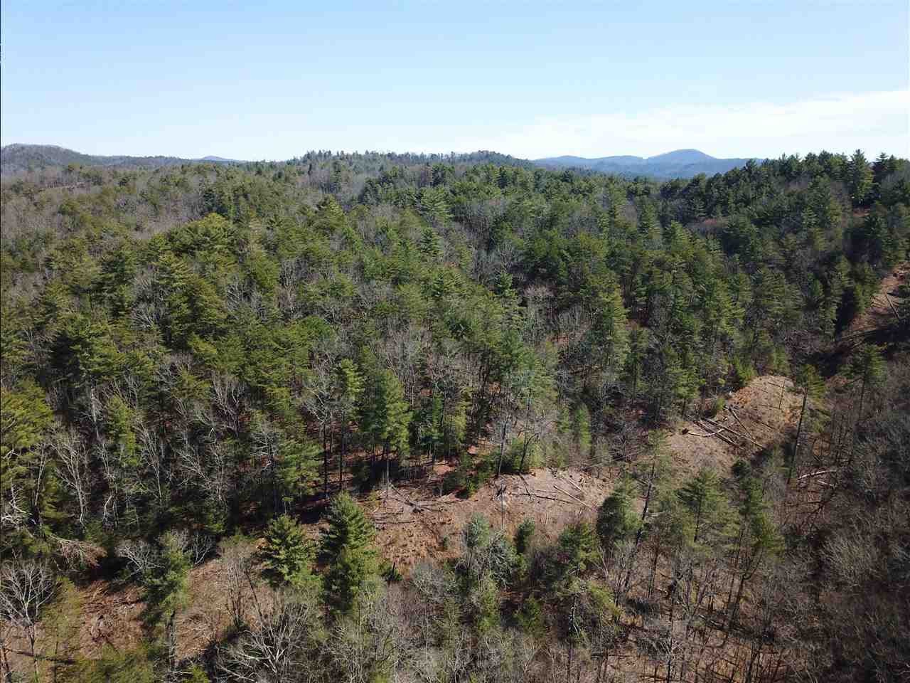 0 Towee Pike Reliance, TN 37369 - Photo 16 of 41